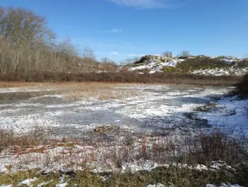 De Panne in de sneeuw (België)